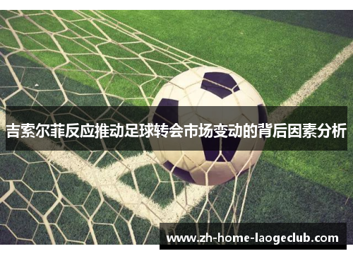 吉索尔菲反应推动足球转会市场变动的背后因素分析