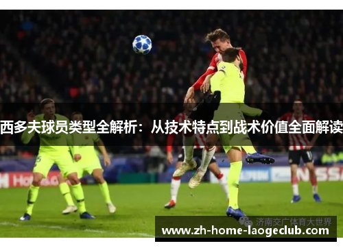 西多夫球员类型全解析：从技术特点到战术价值全面解读