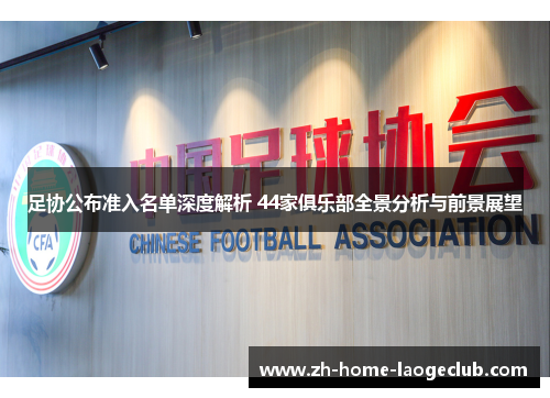 足协公布准入名单深度解析 44家俱乐部全景分析与前景展望