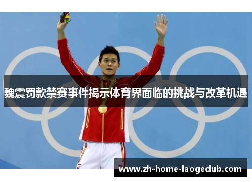 魏震罚款禁赛事件揭示体育界面临的挑战与改革机遇
