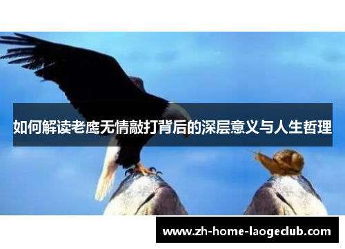 如何解读老鹰无情敲打背后的深层意义与人生哲理
