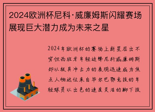 2024欧洲杯尼科·威廉姆斯闪耀赛场展现巨大潜力成为未来之星